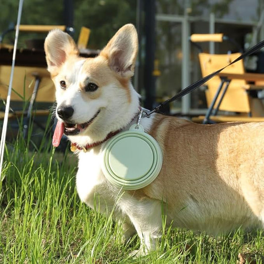 PlayPaws™ Sip On Go Ultimate Bowl