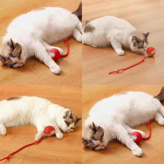 PlayPaws™ Rolling Mouse